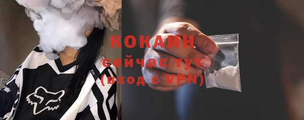 молекула духа Заводоуковск