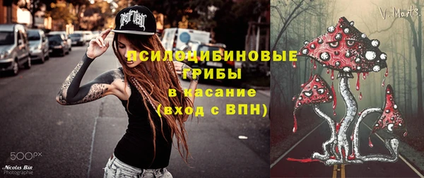 молекула духа Заводоуковск