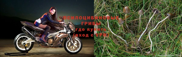 mix Заволжск