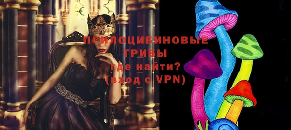 молекула духа Заводоуковск
